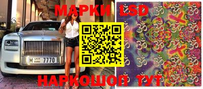 прущая мука Будённовск