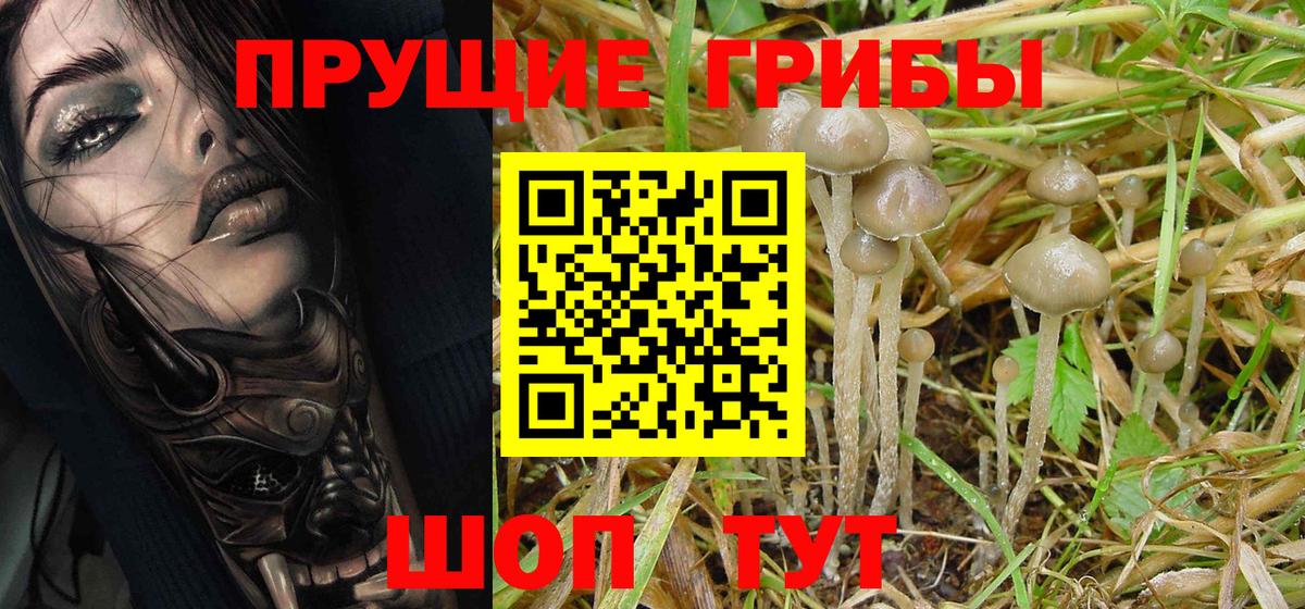 Галлюциногенные грибы MAGIC MUSHROOMS Сегежа