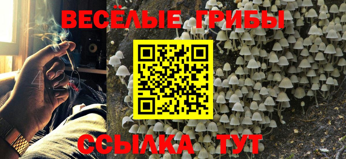 Псилоцибиновые грибы GOLDEN TEACHER  Вход с VPN  Сегежа 